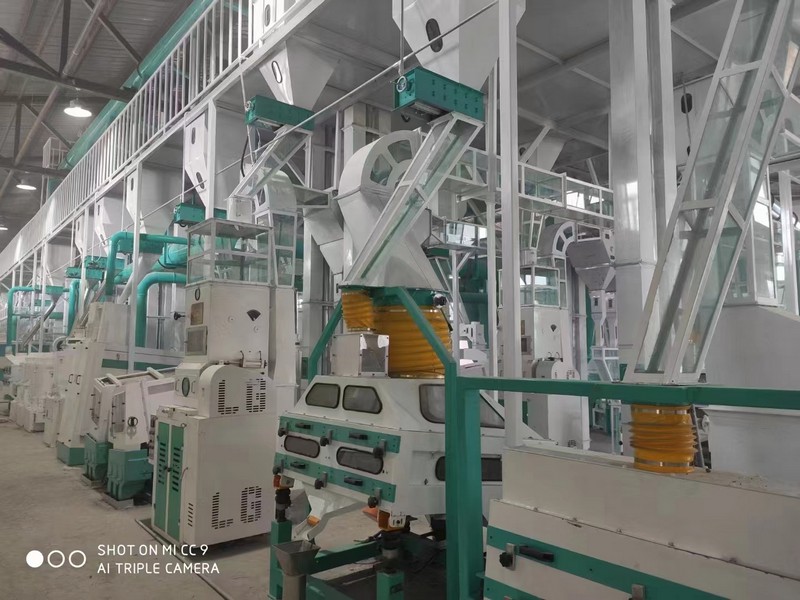 50吨玉米制糁机生产线作业原理解析—河南中瑞粮油机械有限公司专业推荐
